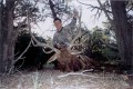 Outfitter/head guide with 6x6 322 Pope & Young archery elk in New Mexi