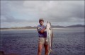 Land based gamefishing - 45lb kingfish. North Island.