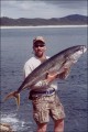 Matt Poma's 60lb kingfish. Go Johnny go!