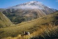Canterbury High Country