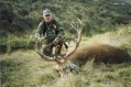 Dirt King with 6x6 bowshot Red Stag, Canterbury.