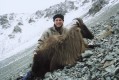 Charlie Oys with trophy Bull Thar Southern Alps June 2007