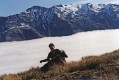 Outfitter with bull thar, Southern Alps 
