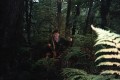 Outfitter with 12 pt free range Red Stag, North Island 