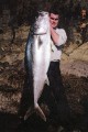 Craig Hare with 95lb Kingfish North Island 