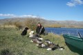Opening day duck/goose season South Island. May 2007 