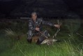 4x4 management stag 