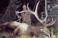 Outfitter Jason Kidd with his 355 SCI 6x6 Bull Elk, bowshot. Colorado,