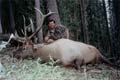 Outfitter/head guide with 6x6 archery Bull Elk