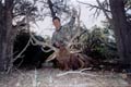 Outfitter/head guide with 6x6 322 Pope & Young archery Elk