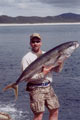 Matt Poma of Colorado with his 60lb kingfish!