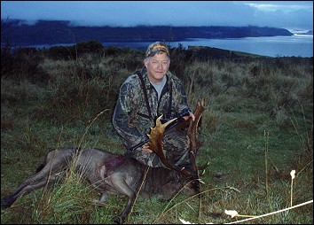 Fallow Buck