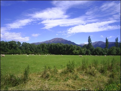 Hutt Range in December