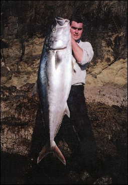 Kingfish